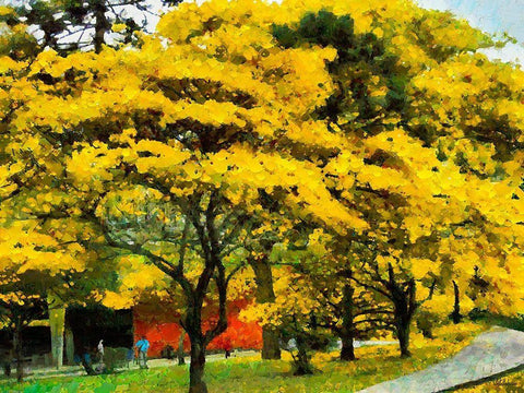 Yellow Trees in the Park White Modern Wood Framed Art Print with Double Matting by Medeiros, Celito