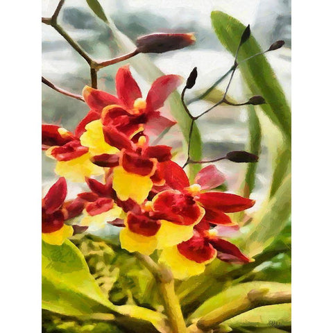 Red and Yellow Orchid Gold Ornate Wood Framed Art Print with Double Matting by Medeiros, Celito