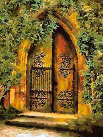 Door Collection VII Black Ornate Wood Framed Art Print with Double Matting by Medeiros, Celito