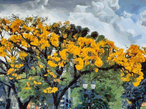 Yellow Tree III White Modern Wood Framed Art Print with Double Matting by Medeiros, Celito