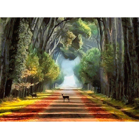 Deer crossing the Road White Modern Wood Framed Art Print by Medeiros, Celito