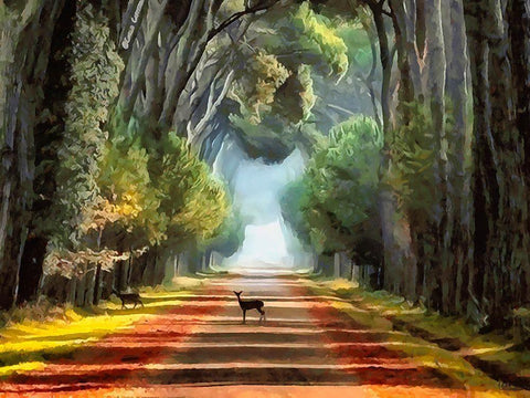 Deer crossing the Road Black Ornate Wood Framed Art Print with Double Matting by Medeiros, Celito