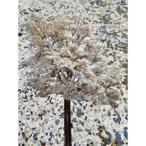 White blooming Tree White Modern Wood Framed Art Print by Medeiros, Celito