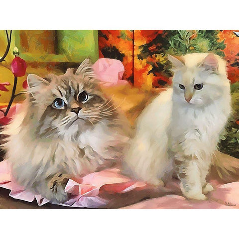 Our Beautiful Siberian Cats II White Modern Wood Framed Art Print by Medeiros, Celito