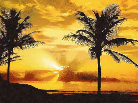 Sunset over the Palms Black Ornate Wood Framed Art Print with Double Matting by Medeiros, Celito