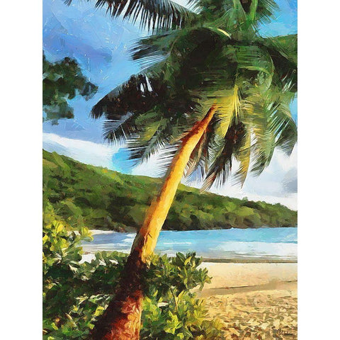 Sea with Palm Beach - Diptych A White Modern Wood Framed Art Print by Medeiros, Celito