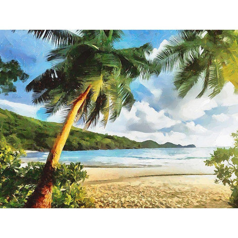 Sea with Palm Beach Black Modern Wood Framed Art Print with Double Matting by Medeiros, Celito