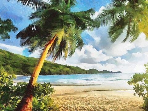 Sea with Palm Beach White Modern Wood Framed Art Print with Double Matting by Medeiros, Celito