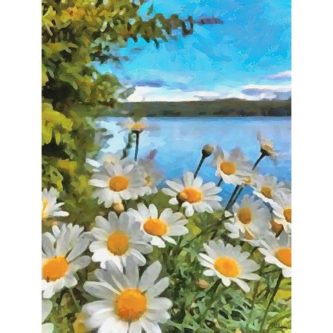 Daisies by the Lake White Modern Wood Framed Art Print by Medeiros, Celito