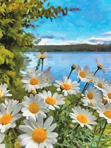 Daisies by the Lake Black Ornate Wood Framed Art Print with Double Matting by Medeiros, Celito