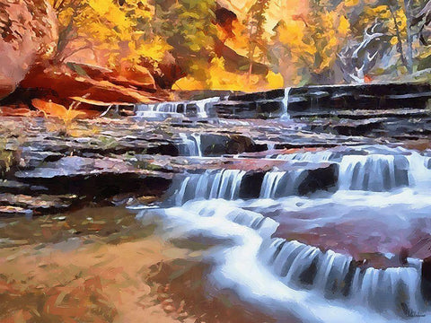 Small Watterfall on the River Black Ornate Wood Framed Art Print with Double Matting by Medeiros, Celito