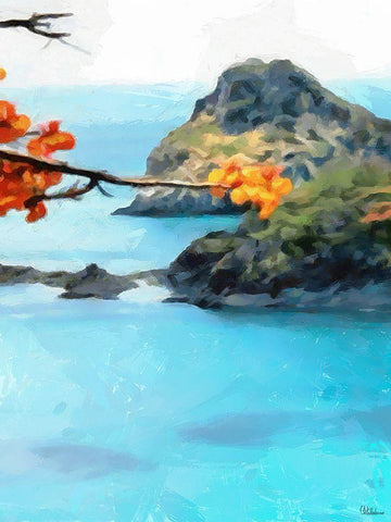 Bay with Rocks - Diptych A Black Ornate Wood Framed Art Print with Double Matting by Medeiros, Celito