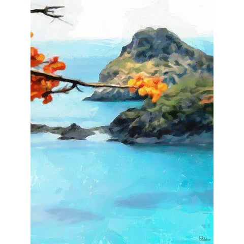 Bay with Rocks - Diptych A White Modern Wood Framed Art Print by Medeiros, Celito