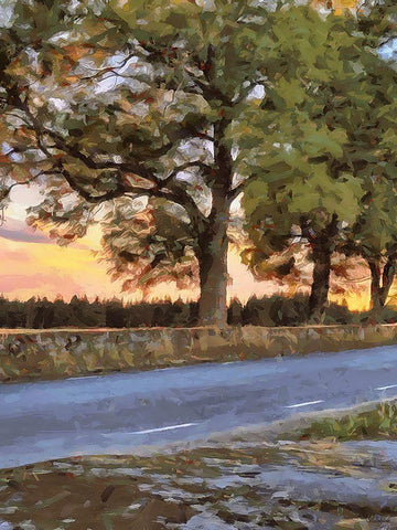 Oak Way by Sunset - Diptych A Black Ornate Wood Framed Art Print with Double Matting by Medeiros, Celito