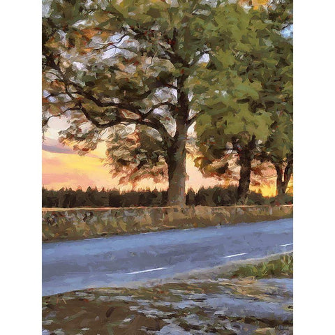 Oak Way by Sunset - Diptych A Black Modern Wood Framed Art Print with Double Matting by Medeiros, Celito