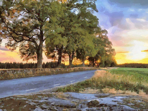 Oak Way by Sunset White Modern Wood Framed Art Print with Double Matting by Medeiros, Celito