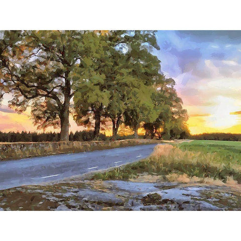 Oak Way by Sunset Black Modern Wood Framed Art Print by Medeiros, Celito