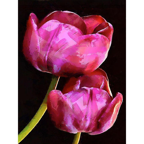 Spring Floral Variations IX Black Modern Wood Framed Art Print with Double Matting by Medeiros, Celito