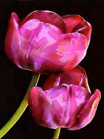 Spring Floral Variations IX Black Ornate Wood Framed Art Print with Double Matting by Medeiros, Celito