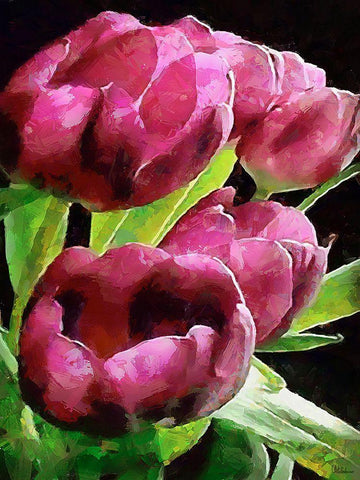 Spring Floral Variations X Black Ornate Wood Framed Art Print with Double Matting by Medeiros, Celito