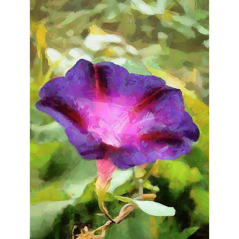 Spring Floral Variations XI White Modern Wood Framed Art Print by Medeiros, Celito