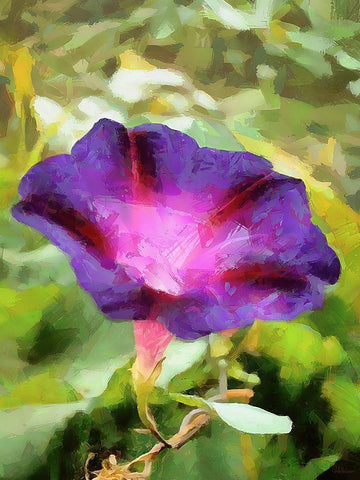 Spring Floral Variations XI Black Ornate Wood Framed Art Print with Double Matting by Medeiros, Celito