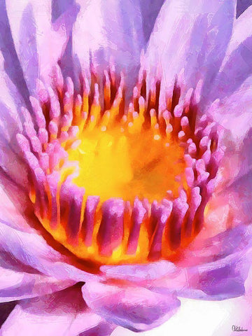 Spring Floral Variations XII White Modern Wood Framed Art Print with Double Matting by Medeiros, Celito