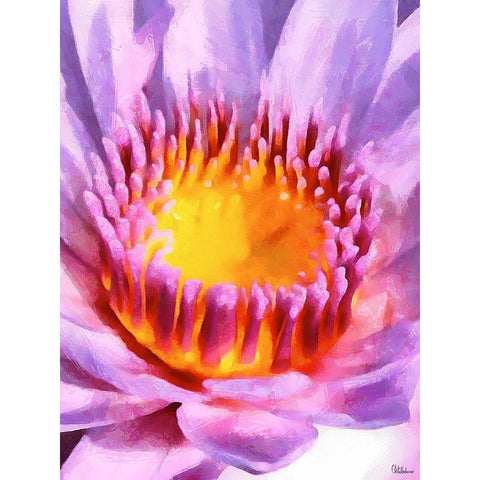 Spring Floral Variations XII Black Modern Wood Framed Art Print by Medeiros, Celito