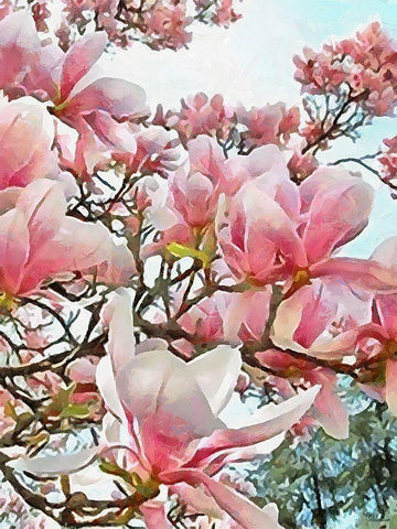 Spring Floral Variations XIII White Modern Wood Framed Art Print with Double Matting by Medeiros, Celito