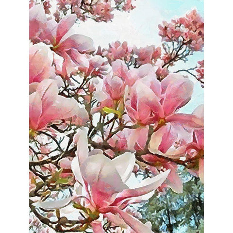 Spring Floral Variations XIII Black Modern Wood Framed Art Print by Medeiros, Celito