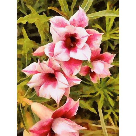 Spring Floral Variations XIV White Modern Wood Framed Art Print by Medeiros, Celito