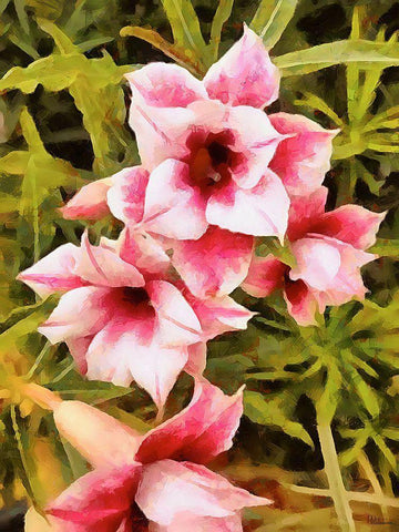 Spring Floral Variations XIV Black Ornate Wood Framed Art Print with Double Matting by Medeiros, Celito