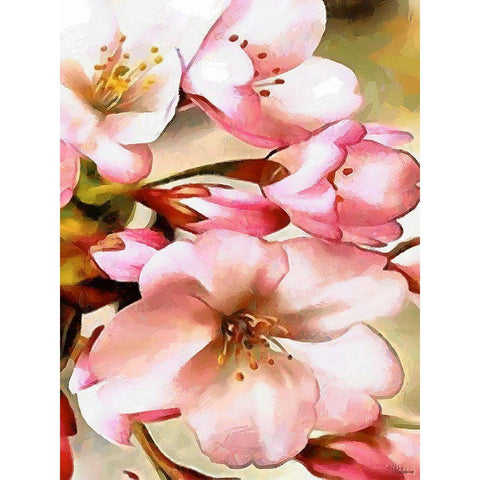 Spring Floral Variations XV Black Modern Wood Framed Art Print with Double Matting by Medeiros, Celito