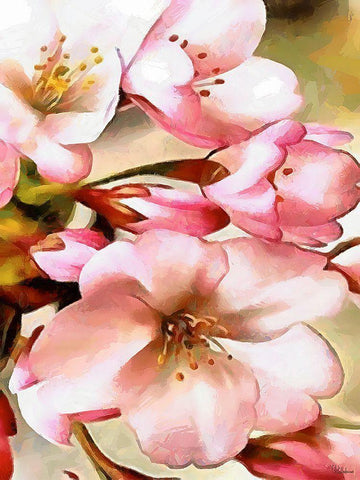 Spring Floral Variations XV Black Ornate Wood Framed Art Print with Double Matting by Medeiros, Celito