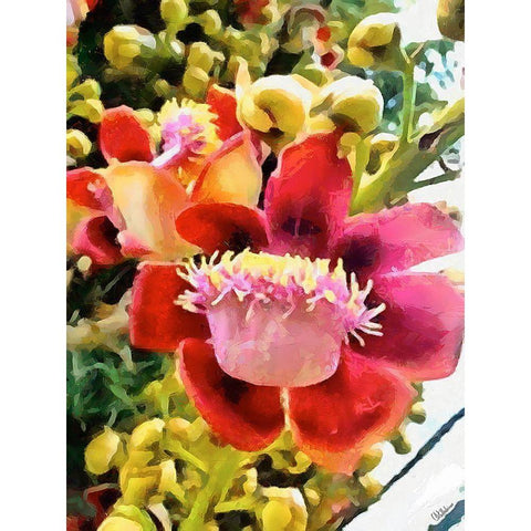 Spring Floral Variations XVI Gold Ornate Wood Framed Art Print with Double Matting by Medeiros, Celito