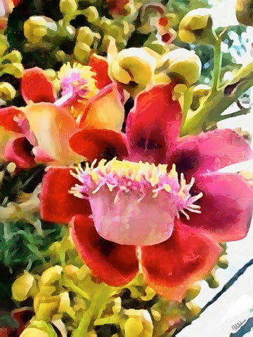 Spring Floral Variations XVI Black Ornate Wood Framed Art Print with Double Matting by Medeiros, Celito