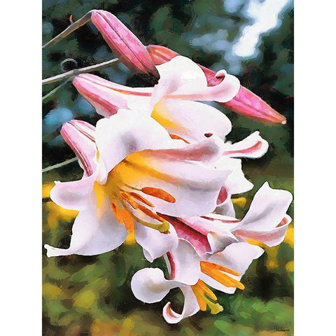 Spring Floral Variations XVII White Modern Wood Framed Art Print by Medeiros, Celito