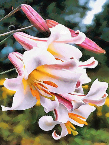 Spring Floral Variations XVII White Modern Wood Framed Art Print with Double Matting by Medeiros, Celito