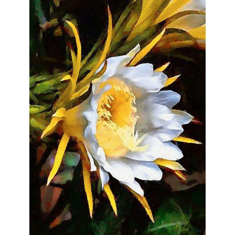 Spring Floral Variations XVIII Gold Ornate Wood Framed Art Print with Double Matting by Medeiros, Celito