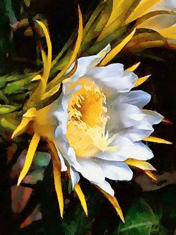 Spring Floral Variations XVIII White Modern Wood Framed Art Print with Double Matting by Medeiros, Celito