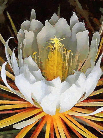 Spring Floral Variations XXI White Modern Wood Framed Art Print with Double Matting by Medeiros, Celito