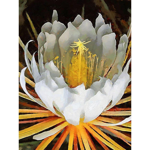 Spring Floral Variations XXI White Modern Wood Framed Art Print by Medeiros, Celito
