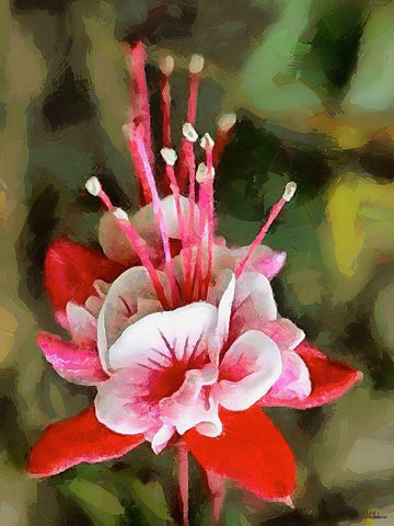 Spring Floral Variations XXII White Modern Wood Framed Art Print with Double Matting by Medeiros, Celito