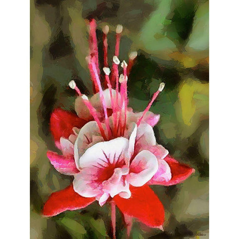Spring Floral Variations XXII Black Modern Wood Framed Art Print by Medeiros, Celito