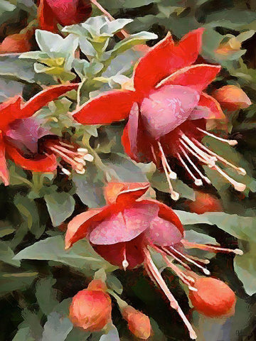 Spring Floral Variations XXIII Black Ornate Wood Framed Art Print with Double Matting by Medeiros, Celito