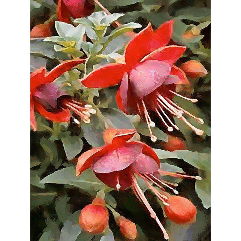 Spring Floral Variations XXIII Black Modern Wood Framed Art Print with Double Matting by Medeiros, Celito