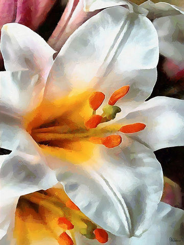 Spring Floral Variations XXIV Black Ornate Wood Framed Art Print with Double Matting by Medeiros, Celito