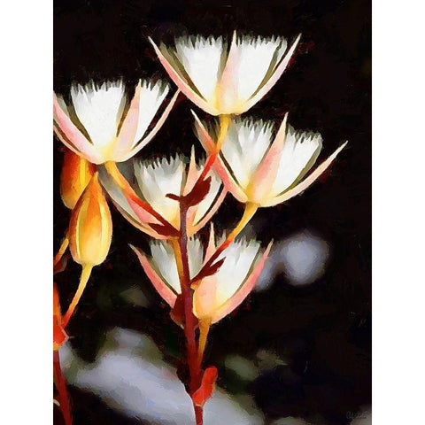 Spring Floral Variations XXV White Modern Wood Framed Art Print by Medeiros, Celito