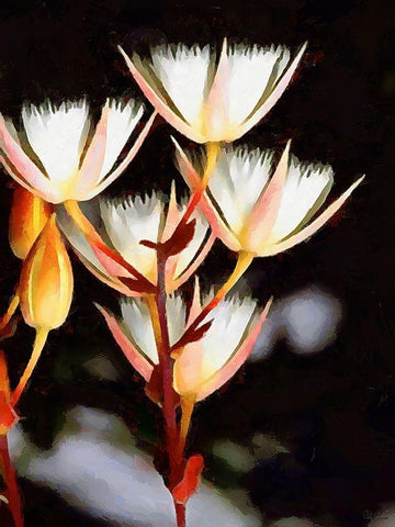 Spring Floral Variations XXV White Modern Wood Framed Art Print with Double Matting by Medeiros, Celito