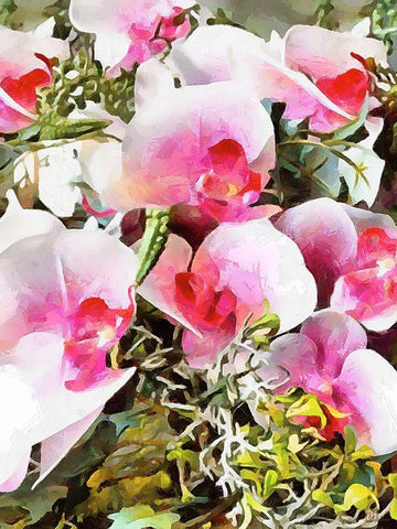 Spring Floral Variations XXVII White Modern Wood Framed Art Print with Double Matting by Medeiros, Celito